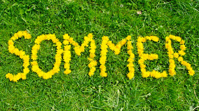 sommer_640x0.jpg